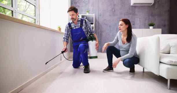 Best Residential Pest Control  in Thorndale, TX